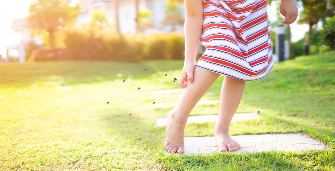 How To Treat Insect Bites - Premier Pediatric Urgent Care Provider in Texas - Little Spurs Pediatric Urgent Care