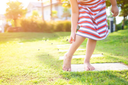 How To Treat Insect Bites - Premier Pediatric Urgent Care Provider in Texas - Little Spurs Pediatric Urgent Care