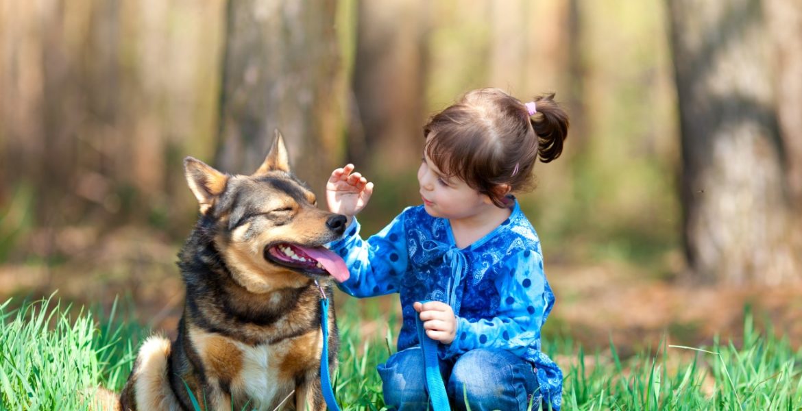Dog Safety - Premier Pediatric Urgent Care Provider in Texas - Little Spurs Pediatric Urgent Care