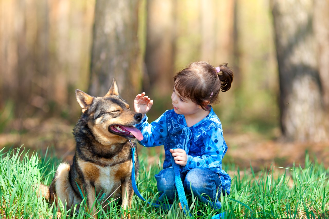 Dog Safety - Premier Pediatric Urgent Care Provider in Texas - Little Spurs Pediatric Urgent Care